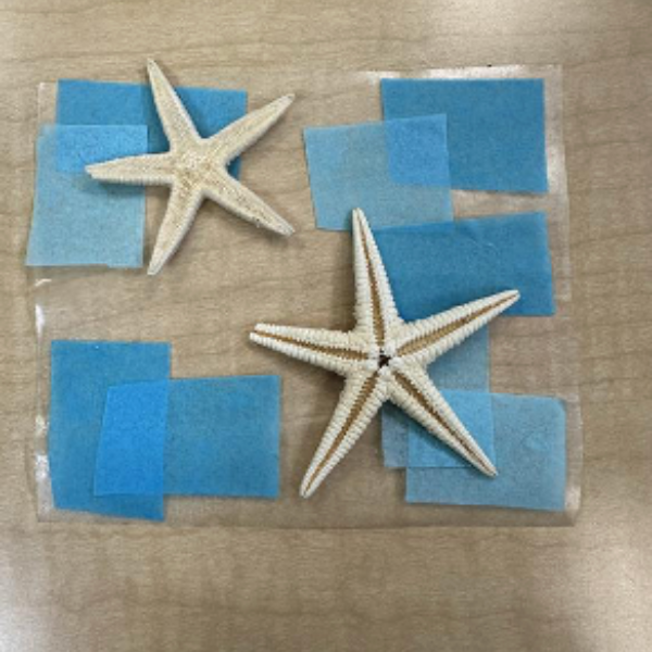 Ocean themed craft supplies stuck to contact paper.