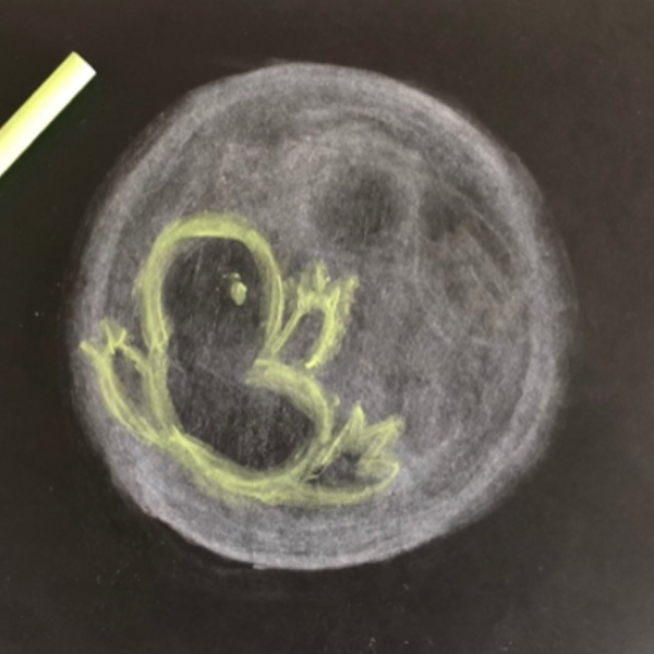 A chalk moon drawing with a frog design on top.