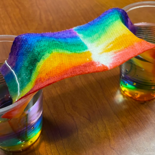 A paper towel with rainbow marker dipped into two water cups.