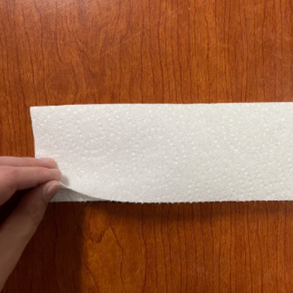 A paper towel folded in half, long ways.