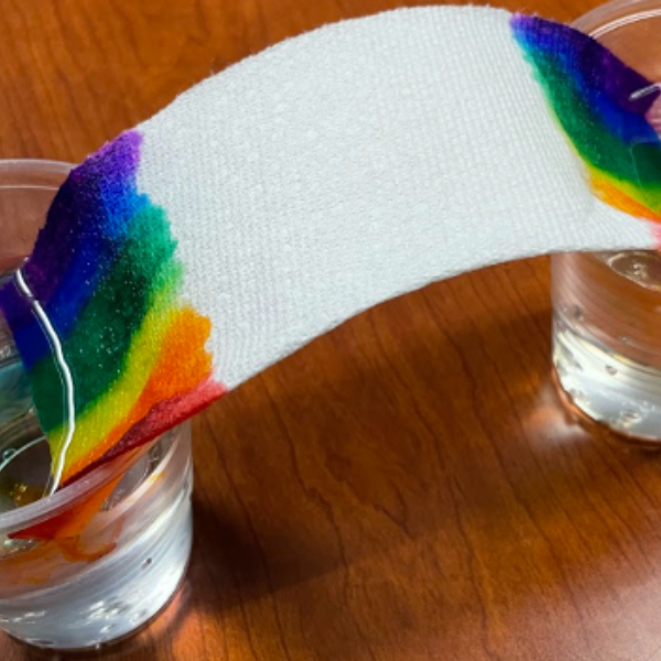 Both ends of the rainbow paper towel dipped into the cups of water.