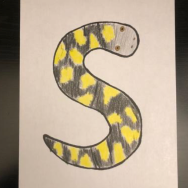 Black and yellow drawn salamander.