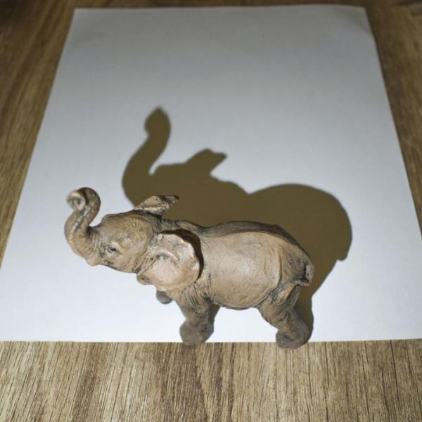 A shadow map with a toy elephant.