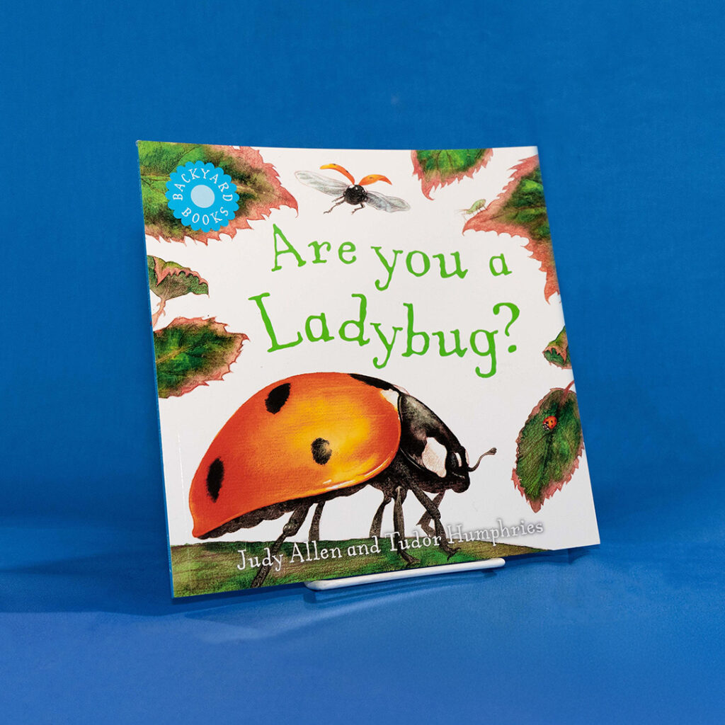 Are You a Ladybug? by Judy Allen