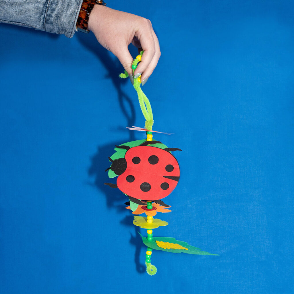 ladybug life cycle wind spinner/garland